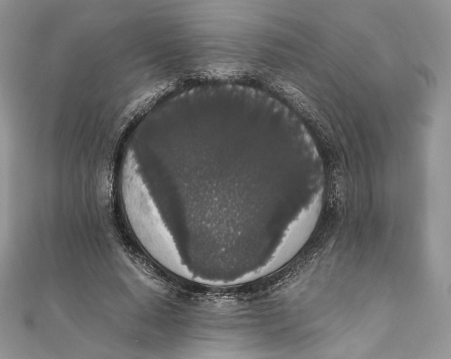 X0000111450640200908031414
