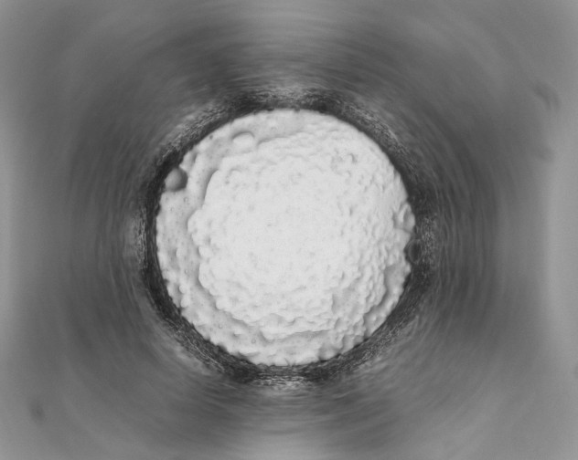 X0000111450642200908031414