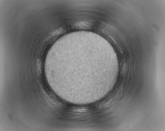 X0000111450643200908031414