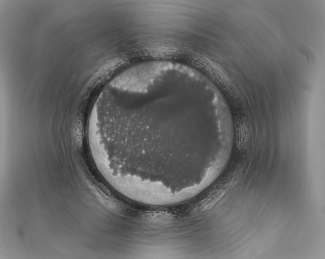 X0000111450644200908031414