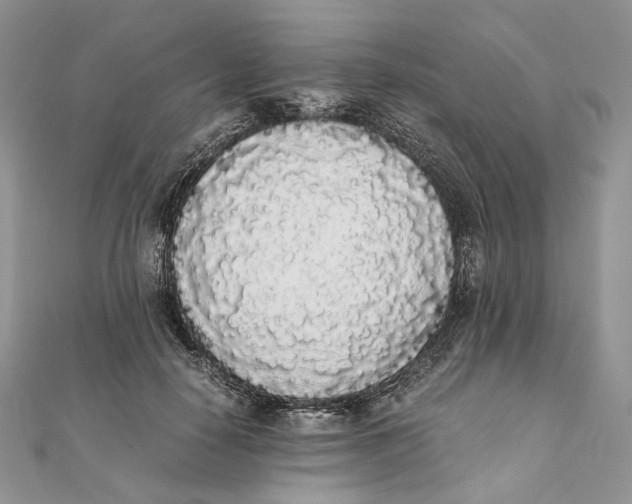X0000111450650200908031414