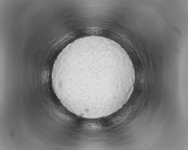X0000111450652200908031414