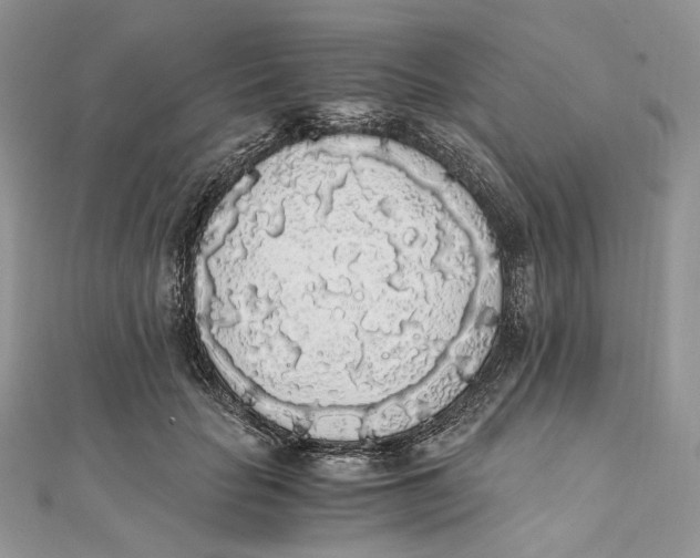 X0000111450653200908031414