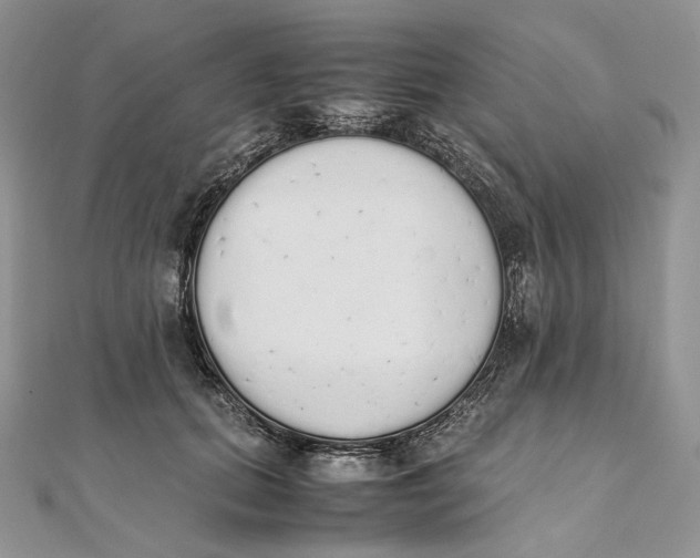 X0000111450655200908031415
