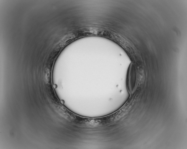 X0000111450656200908031415