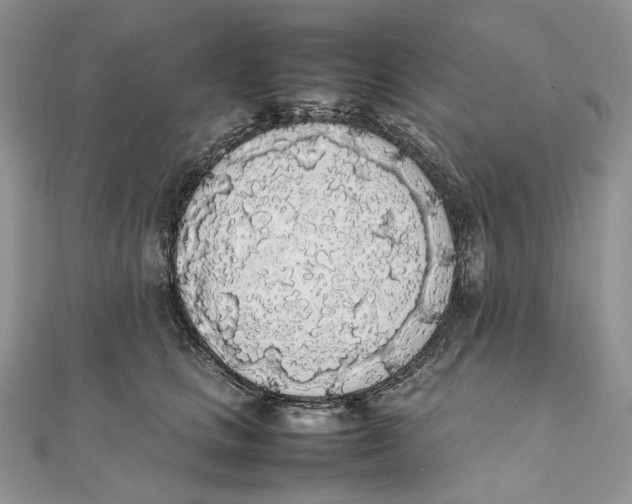 X0000111450661200908031415