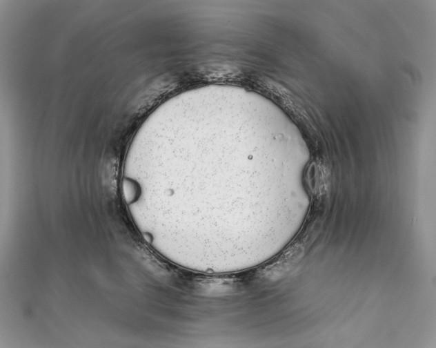 X0000111450664200908031415