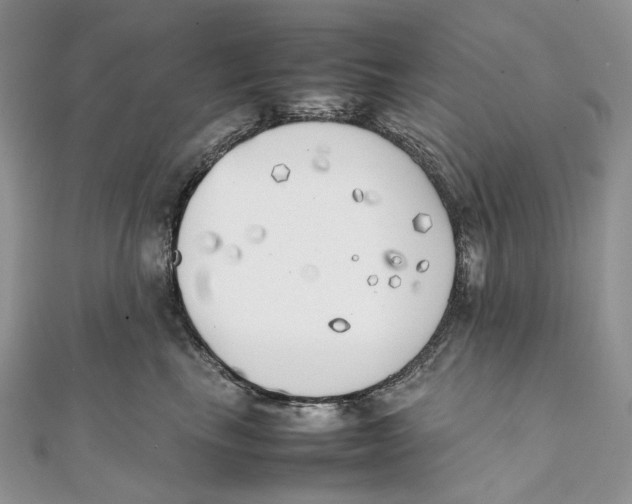 X0000111450665200908031415