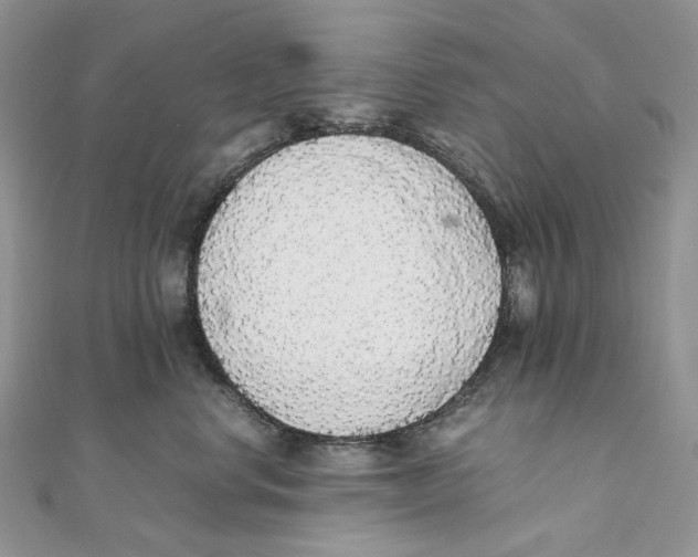 X0000111450668200908031415