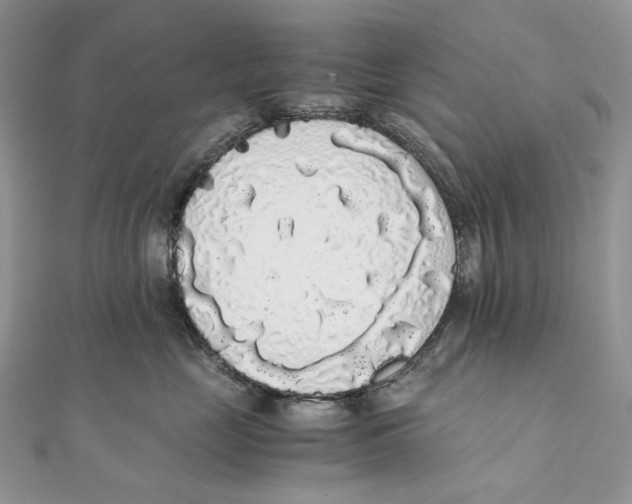 X0000111450669200908031415
