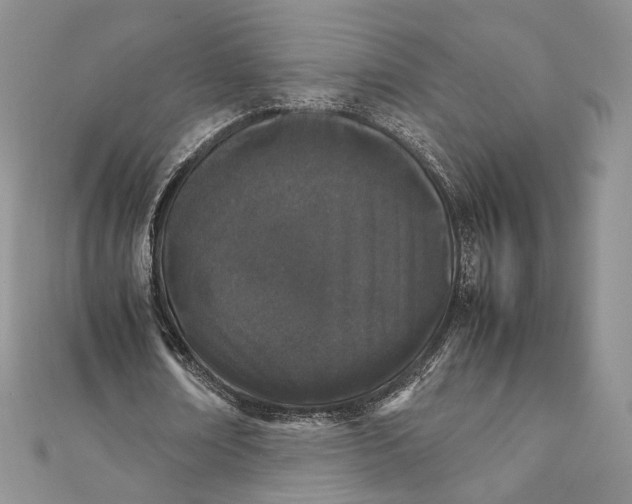 X0000111450674200908031414
