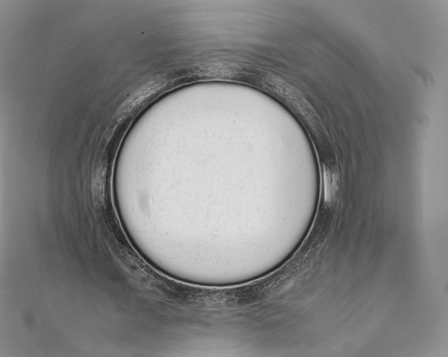 X0000111450675200908031414