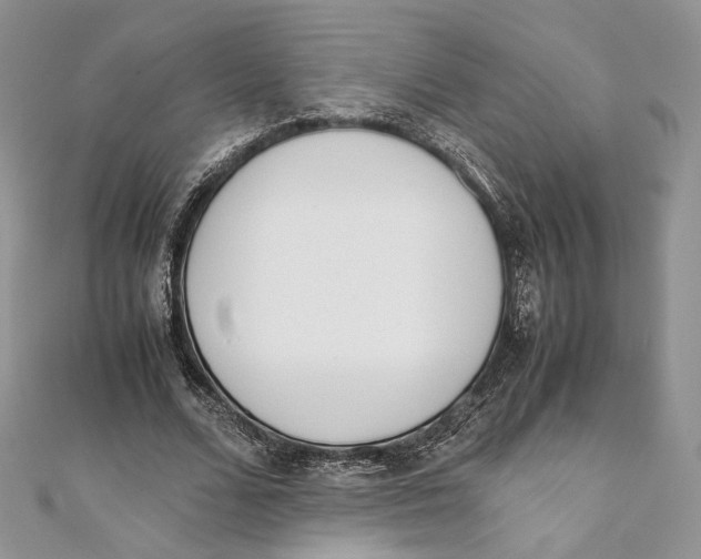 X0000111450680200908031414