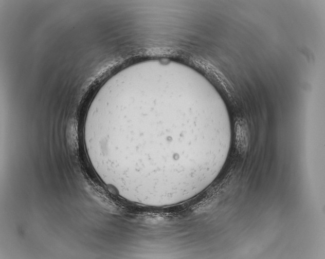 X0000111450684200908031414