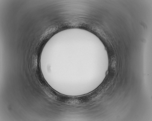 X0000111450685200908031414