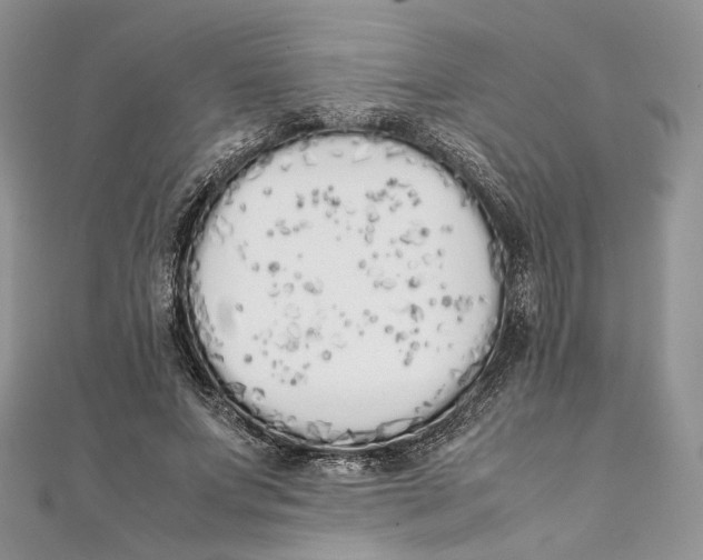 X0000111450687200908031414