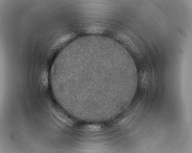X0000111450692200908031414