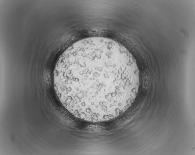 X0000111450699200908031414