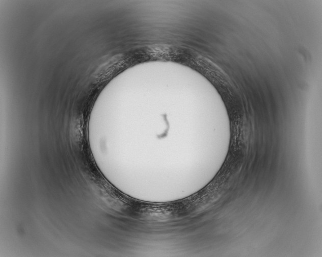 X0000111450702200908031414