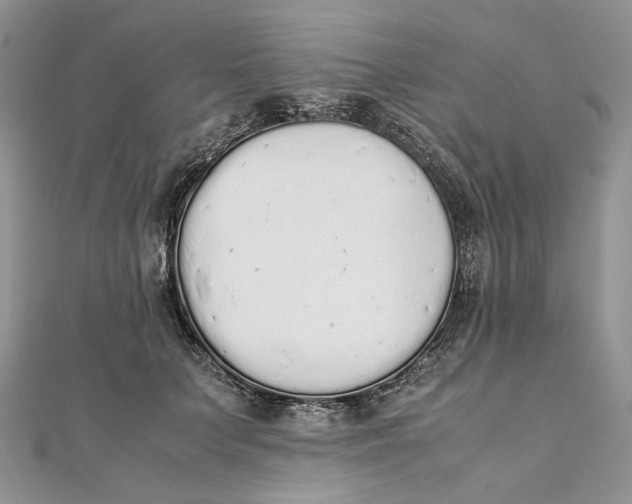 X0000111450703200908031414