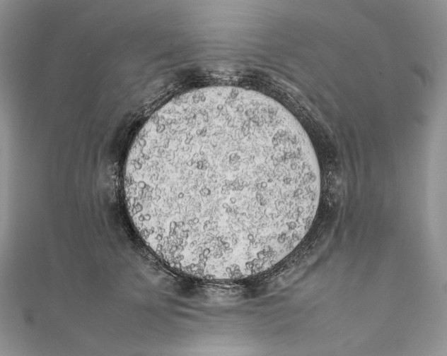 X0000111450707200908031414