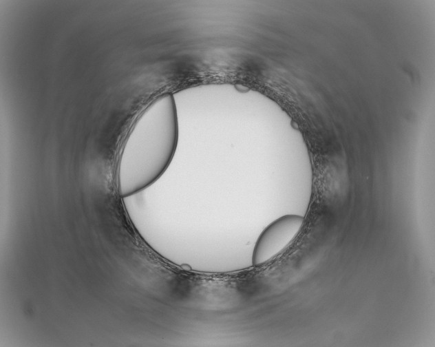 X0000111450709200908031413