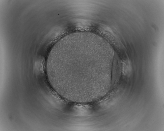 X0000111450712200908031413