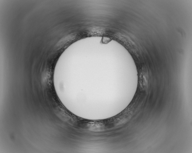 X0000111450714200908031413