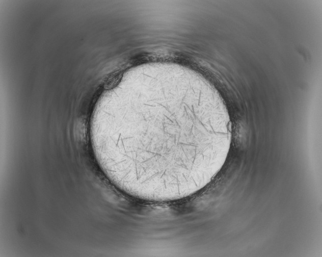 X0000111450715200908031413