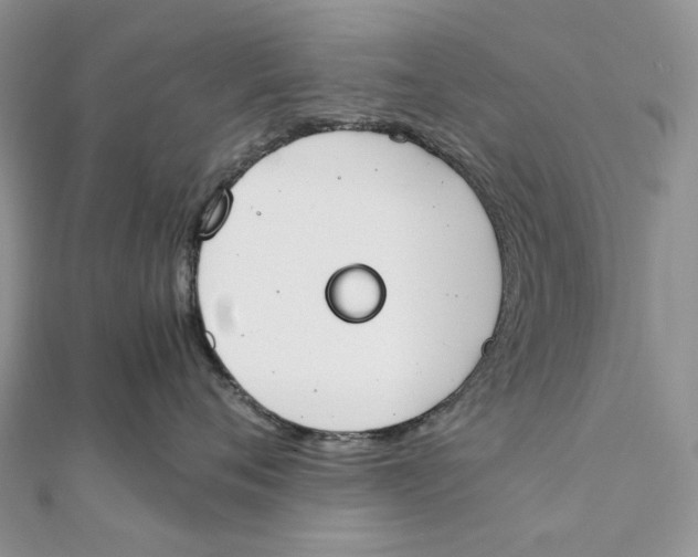 X0000111450720200908031413