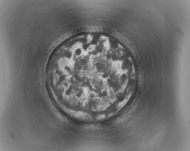 X0000111450721200908031413