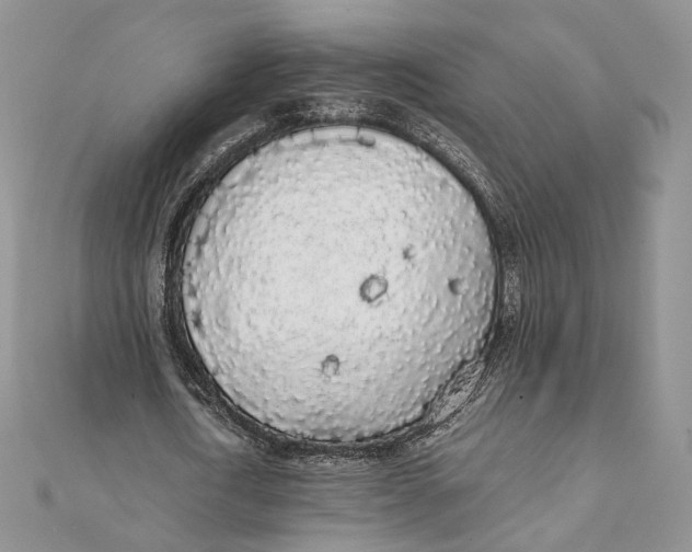 X0000111450722200908031413