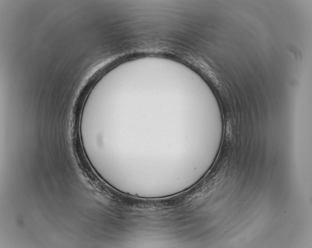 X0000111450724200908031413
