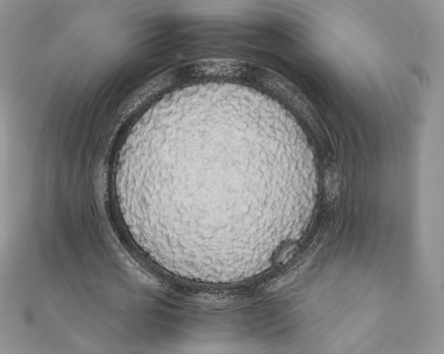 X0000111450725200908031413