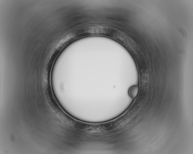 X0000111450727200908031413