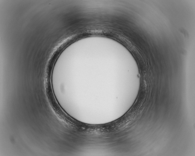 X0000111450728200908031413