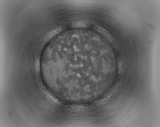 X0000111450729200908031413