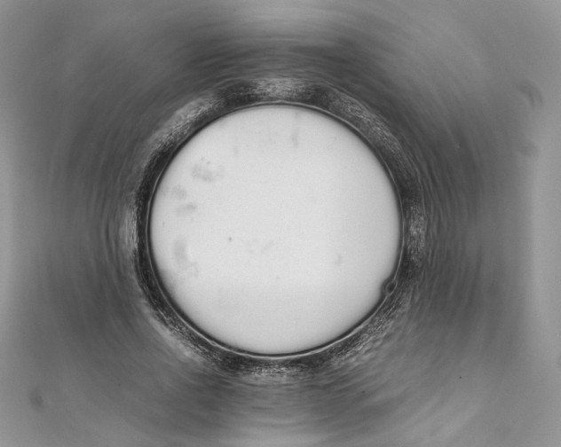 X0000111450734200908031413