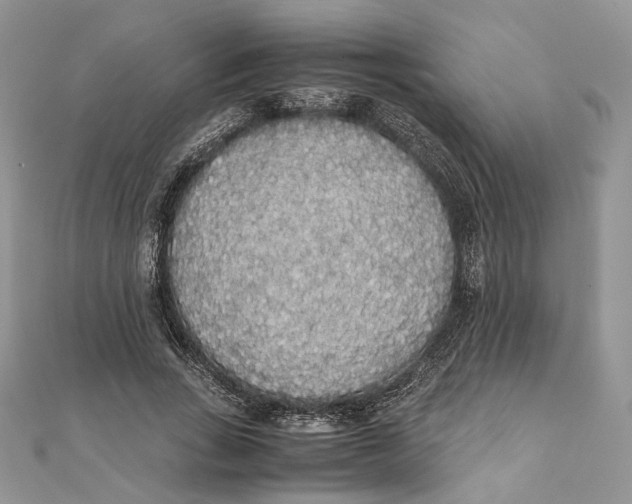 X0000111450735200908031413