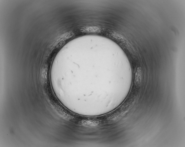 X0000111450739200908031413