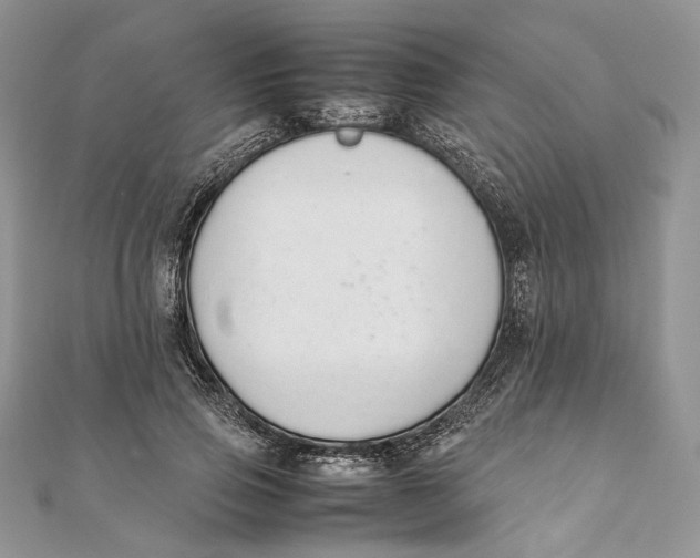 X0000111450741200908031413
