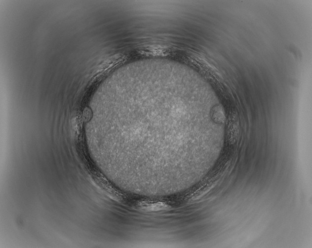 X0000111450747200908031413