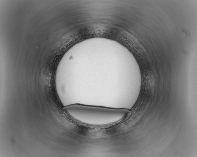 X0000111450750200908031413