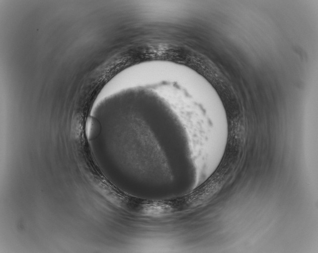 X0000111450754200908031413
