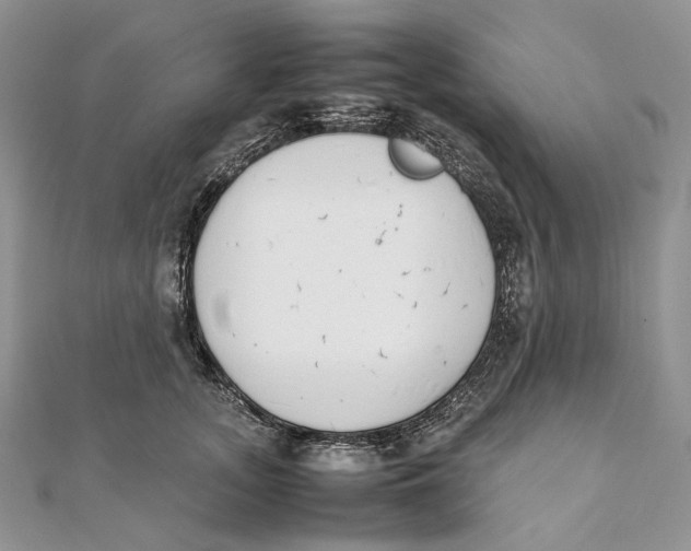 X0000111450755200908031413