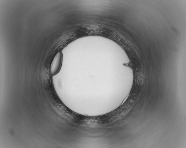 X0000111450756200908031413