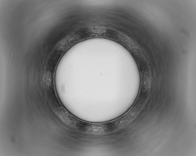 X0000111450758200908031413