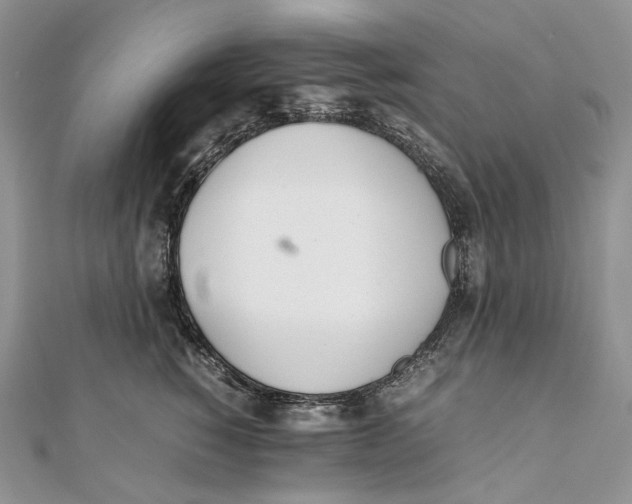 X0000111450760200908031413
