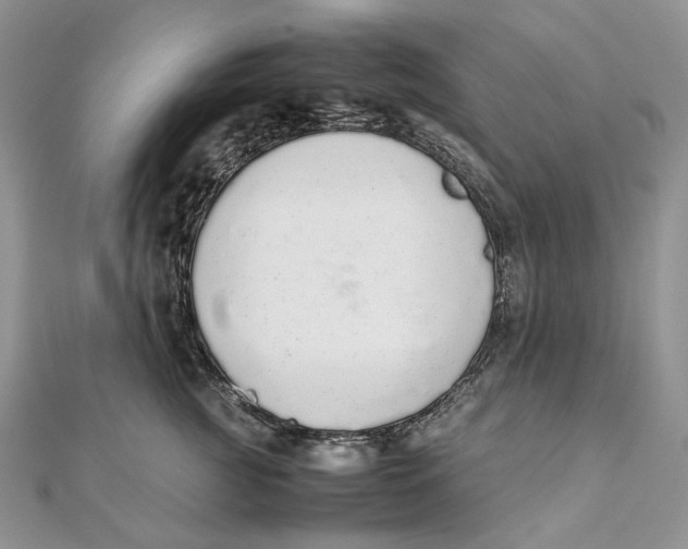 X0000111450761200908031413