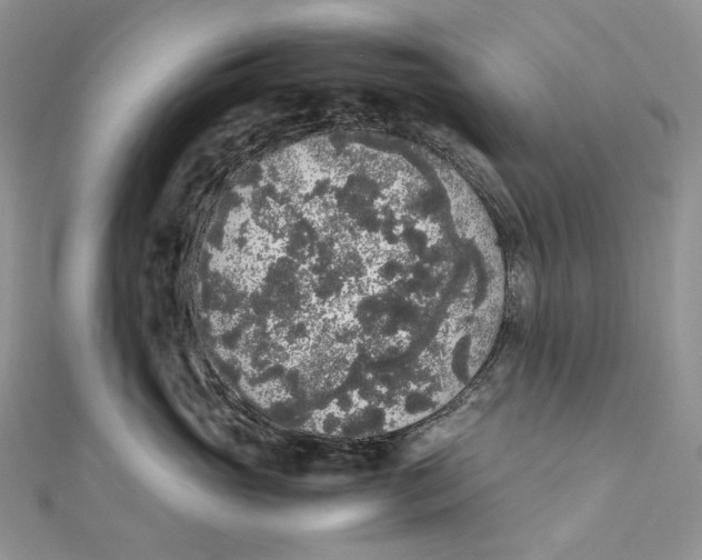 X0000111450765200908031413